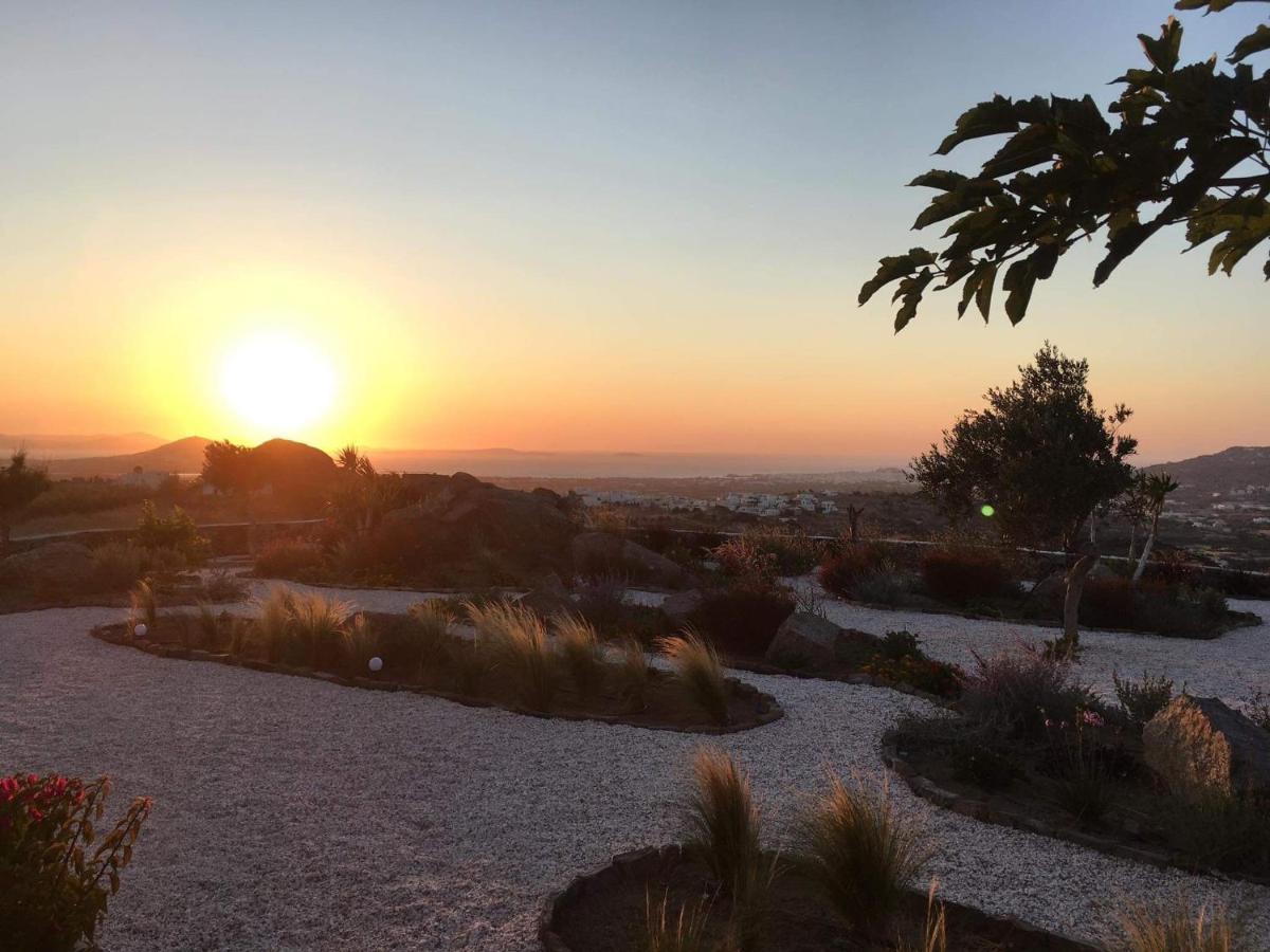 Sunset Apartments Glinado Naxos Екстериор снимка